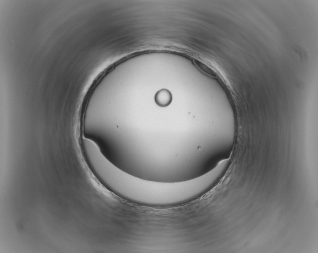 X0000110901136200907091410