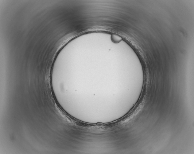 X0000110901137200907091410