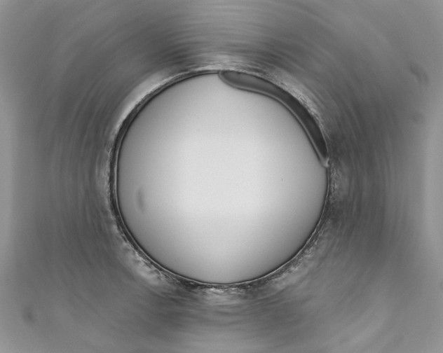 X0000110901138200907091410