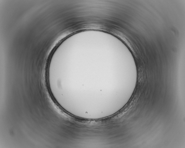 X0000110901139200907091410