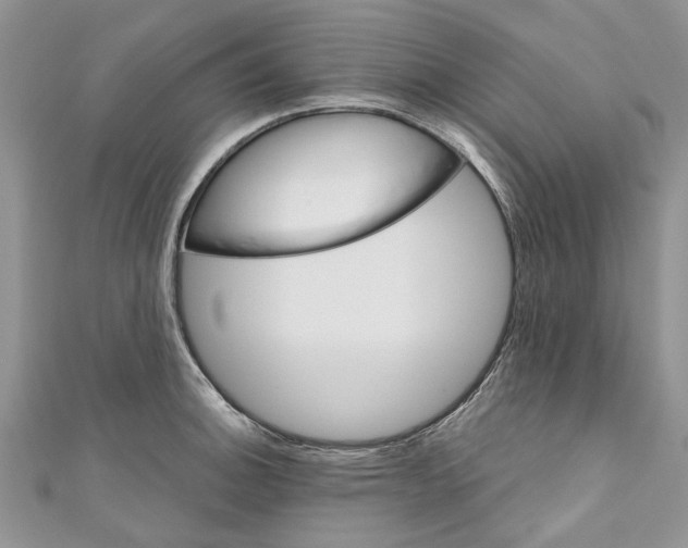 X0000110901140200907091410