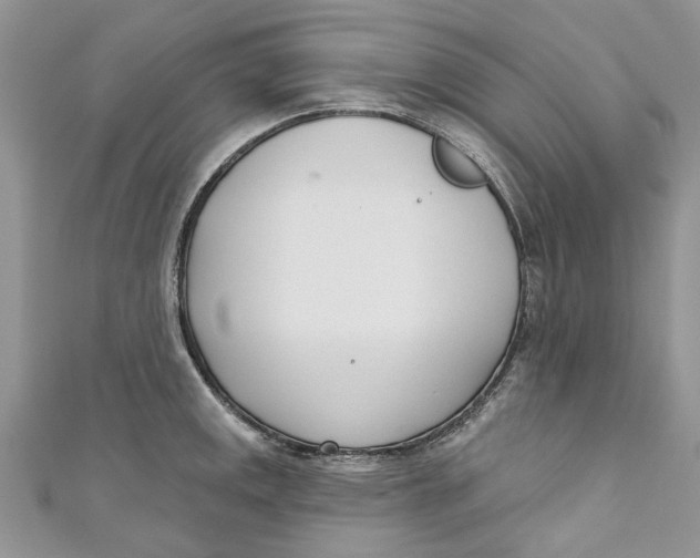 X0000110901141200907091410