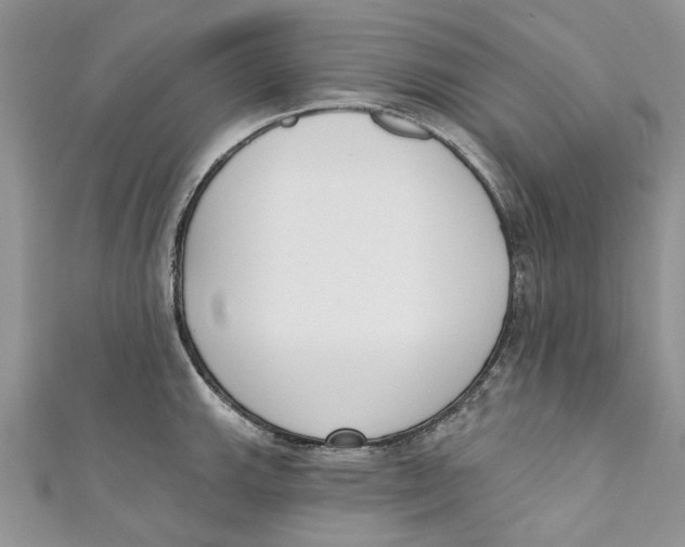 X0000110901143200907091410