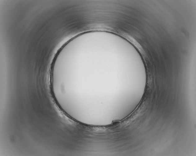 X0000110901144200907091410