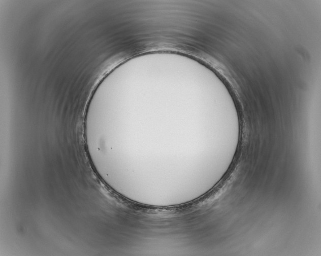 X0000110901145200907091410