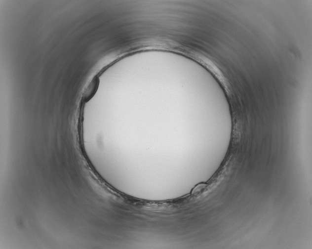 X0000110901146200907091410