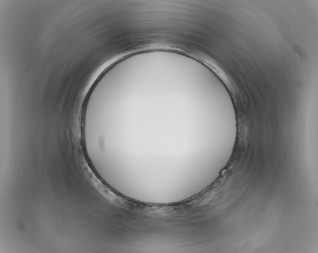 X0000110901148200907091410