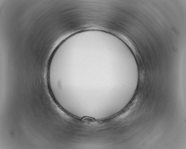 X0000110901149200907091410