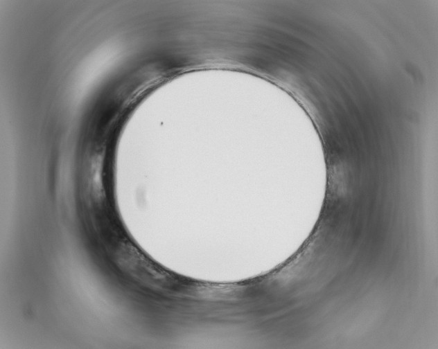 X0000110901150200907091410