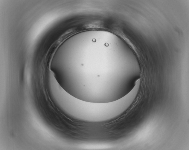 X0000110901151200907091410