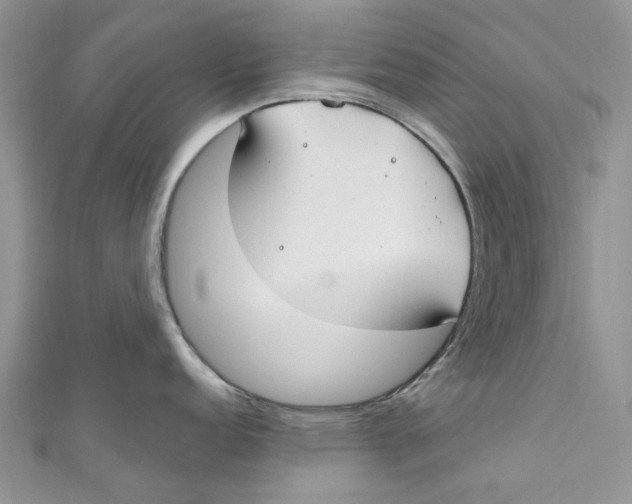 X0000110901152200907091410