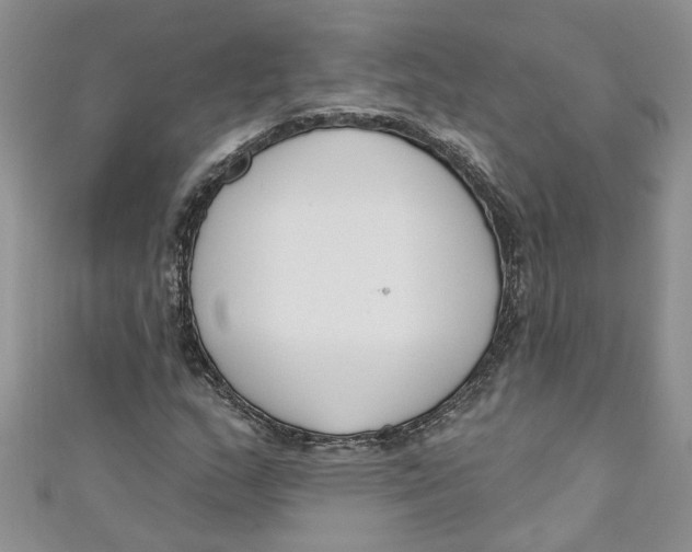 X0000110901159200907091409