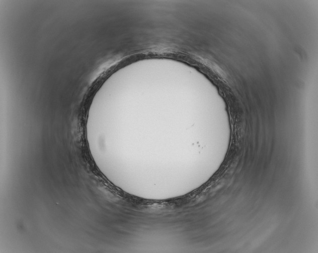 X0000110901160200907091409