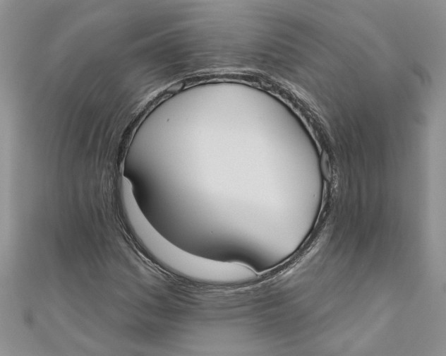 X0000110901161200907091409