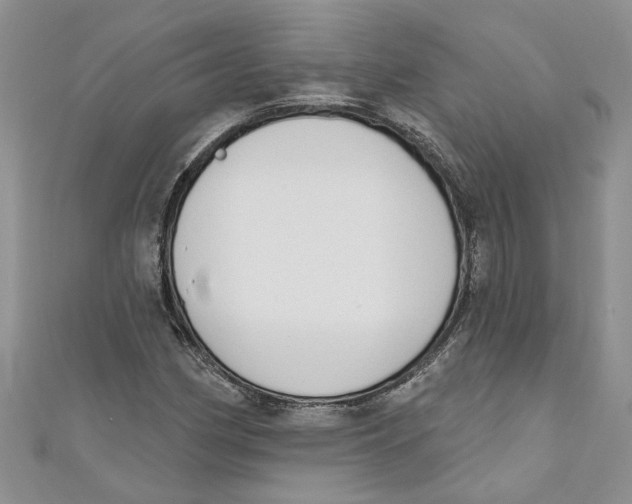 X0000110901162200907091409