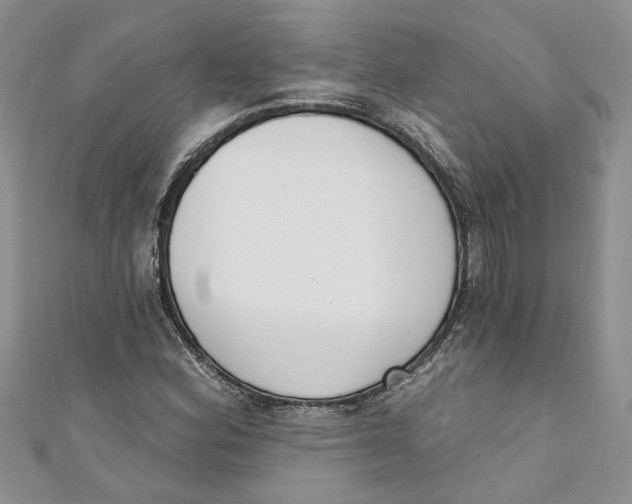 X0000110901164200907091409