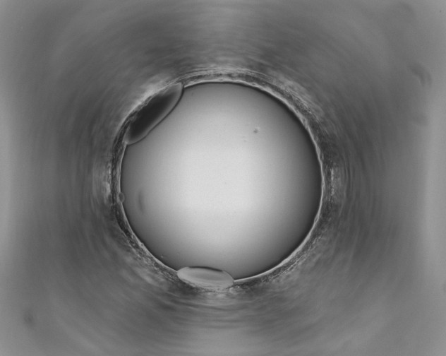 X0000110901165200907091409