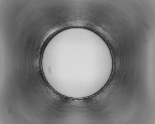 X0000110901166200907091409