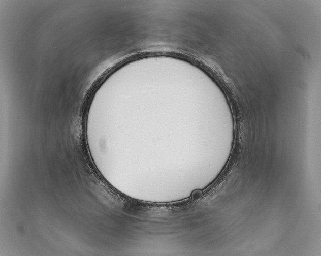 X0000110901167200907091409