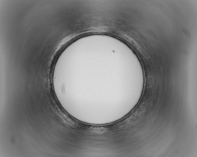 X0000110901168200907091409