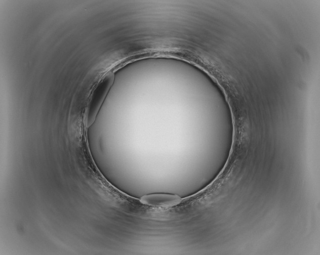 X0000110901169200907091409