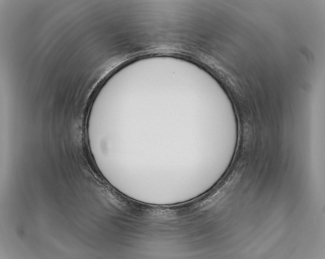 X0000110901170200907091409