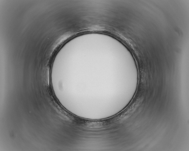 X0000110901171200907091409