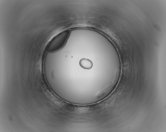 X0000110901173200907091409