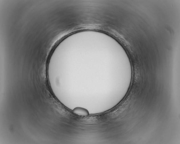 X0000110901174200907091409