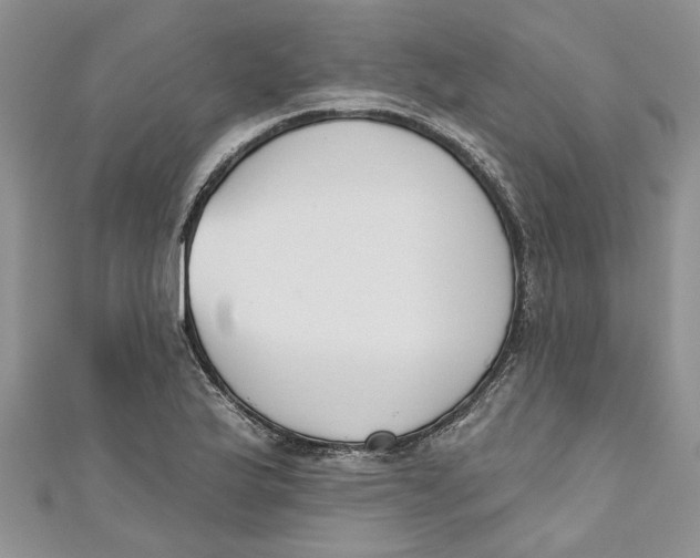 X0000110901175200907091409