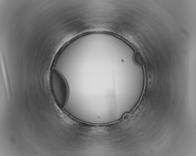 X0000110901181200907091409