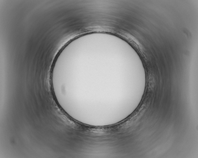 X0000110901182200907091409