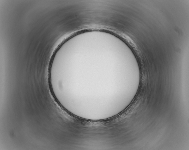 X0000110901183200907091409