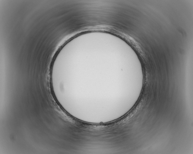 X0000110901184200907091409