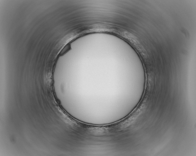 X0000110901185200907091409