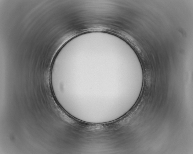 X0000110901186200907091409