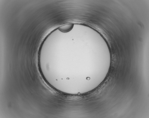 X0000110901187200907091409