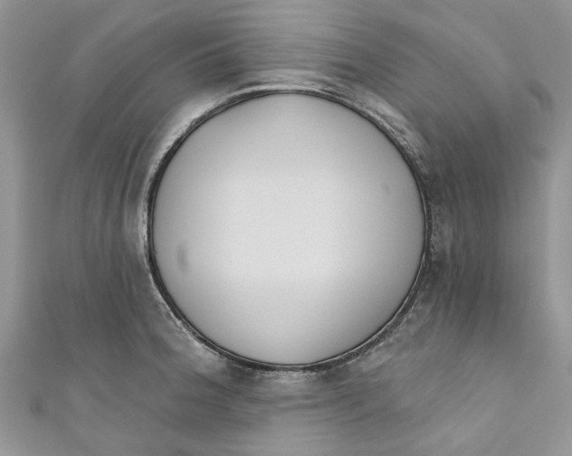 X0000110901188200907091409