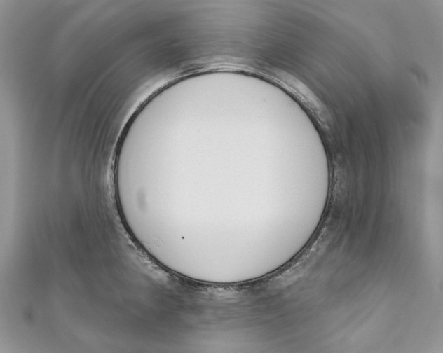 X0000110901190200907091409