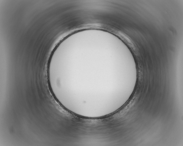 X0000110901192200907091409