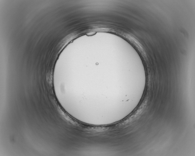 X0000110901193200907091409