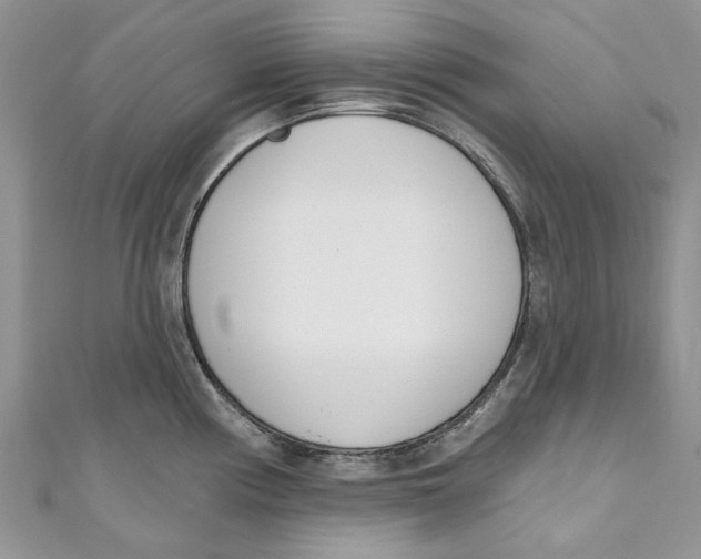 X0000110901194200907091409