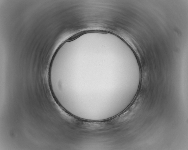 X0000110901197200907091409