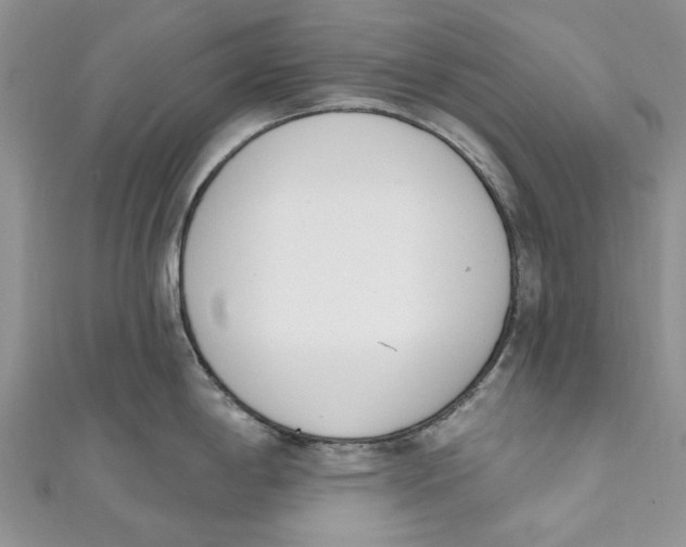 X0000110901198200907091409