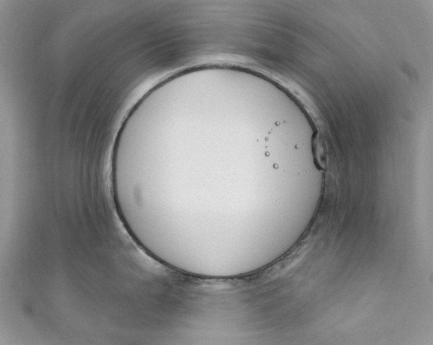 X0000110901199200907091409