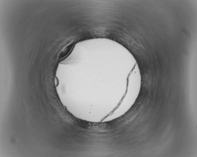 X0000110901201200907091408