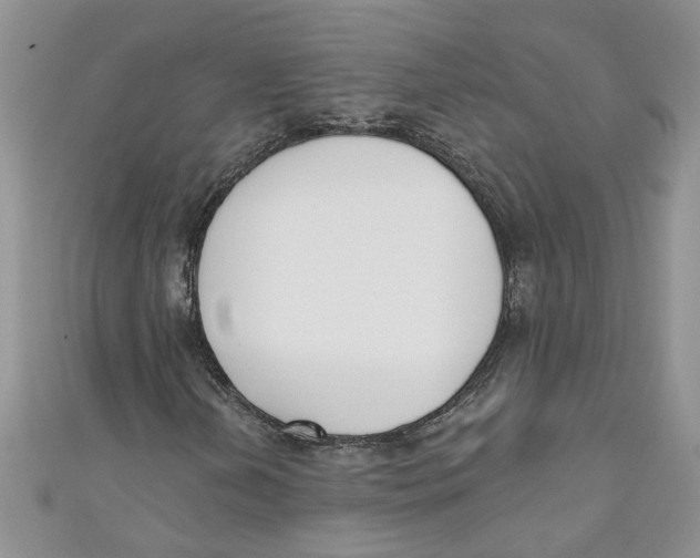 X0000110901202200907091408