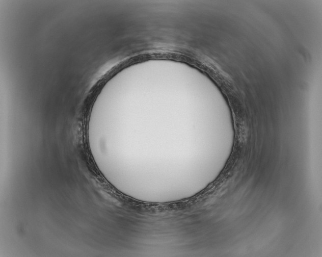 X0000110901208200907091408