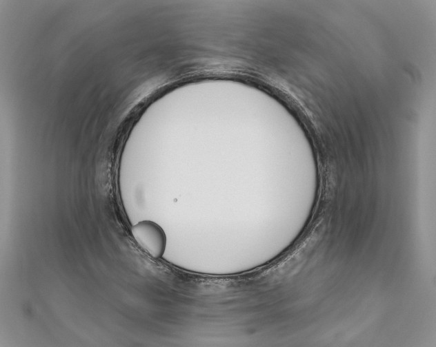 X0000110901211200907091408