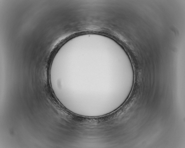 X0000110901214200907091408